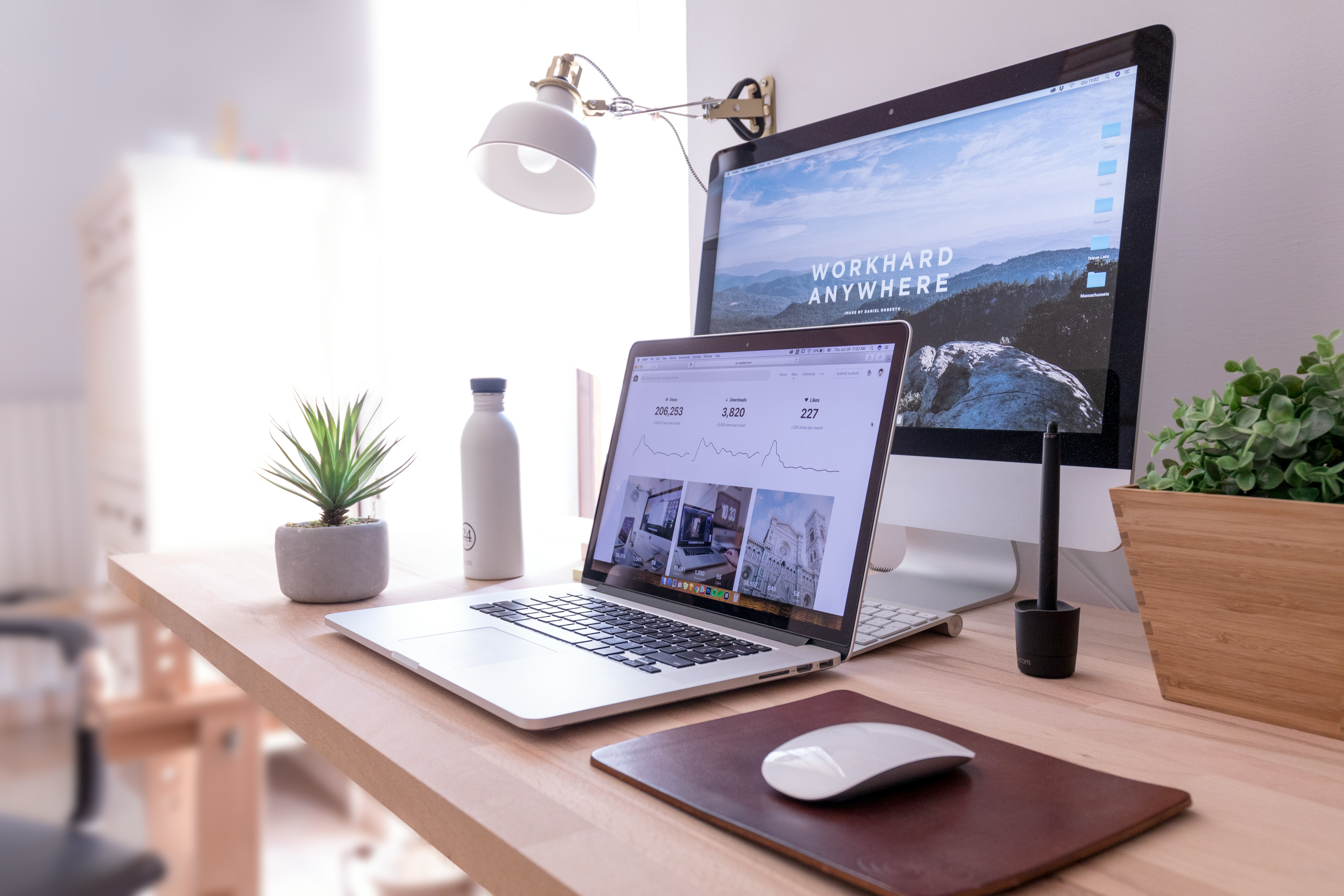 Apps und digitale Entwicklung bei WurzelCode Systems